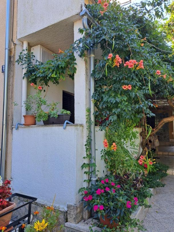 Accomodation Mirjana Rooms Porec Exterior photo